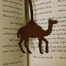 رنا 的头像