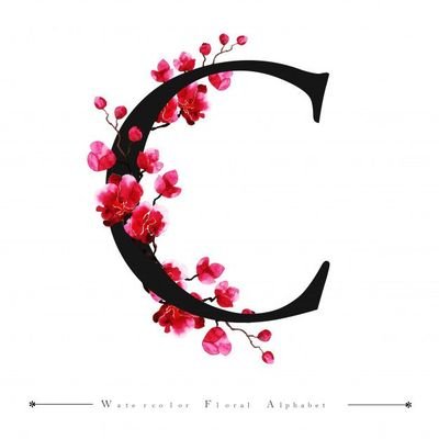 EC_R123's profile picture