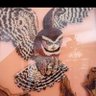 Candace43's profile picture