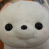 幸運の狐's profile picture