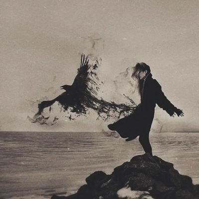 ¯\(◉‿◉)/¯'s profile picture