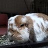 ゆっぴ's profile picture