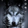 LoneWolf 的头像