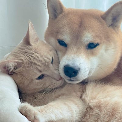 okaka_0516's profile picture