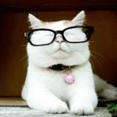 Cuckturd's profile picture