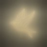 namecannotbeblank 的头像