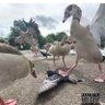 Don Juan profil fotoğrafı