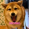 Фото профиля crypto made me do it