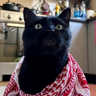 UmmeMousa's profile picture