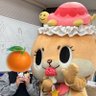 Profilbild von みかん🍊