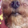 言いたい's profile picture