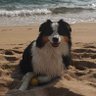 Leonhard's profile picture