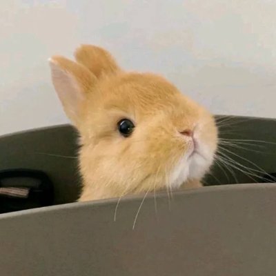 体制内小娇妻's profile picture