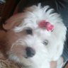Profilbild von Simona