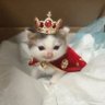 Mochi the Mew's profile picture