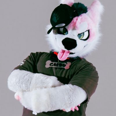ガルボ / Galbo's profile picture