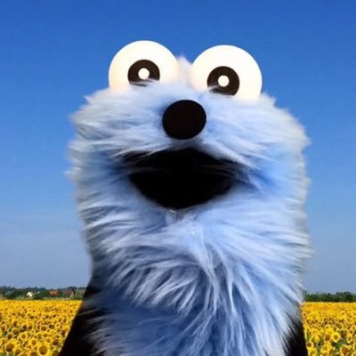 白菊's profile picture