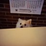 Profilbild von i
