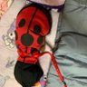 RINママ 的头像