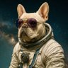 Gus profil fotoğrafı