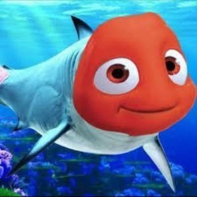 devrimci köpek balığı nemo 🦈's profile picture