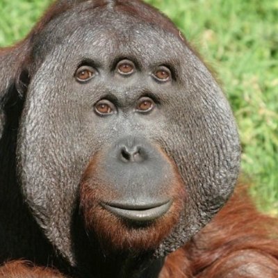 mt马克斯's profile picture