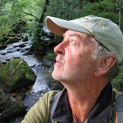 Tim Birch's profile picture