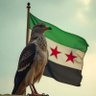 Mahmoud Almasarwah's profile picture