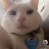 brominetm's profile picture