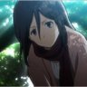 Profilbild von Mikasa Ackerman