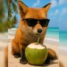 Kokonat içen Tilki 🦊 profil fotoğrafı