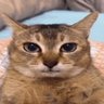 mrpala_ profil fotoğrafı