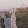 Фото профиля random person