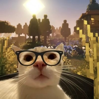 zenotory's profile picture