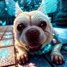 Фото профиля いしざか 健治