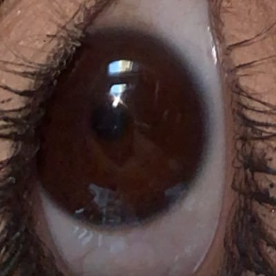 L๐
's profile picture