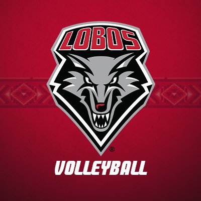 UNMLoboVB's profile picture