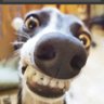 Rhonda's profile picture