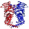 Profilbild von Topoisomerase II Stan