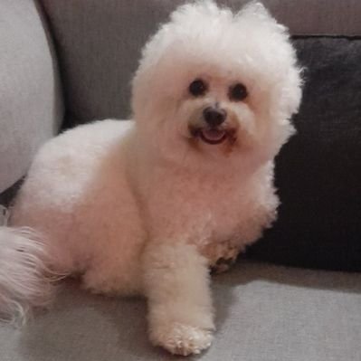 snezana...🇷🇸🇪🇺🇺🇦🇵🇸's profile picture