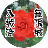 楠木洵 的头像