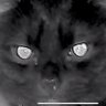Profilbild von Drunkca