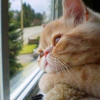 J5's profile picture