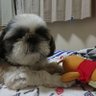 葉隠忍者69's profile picture