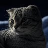 89物君 profil fotoğrafı