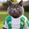 mortibetis's profile picture