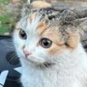 Maniik_ profil fotoğrafı