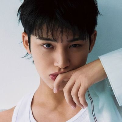 mingyu pics's profile picture