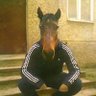 Profilbild von Brylson 🐎