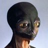 🇮🇱 Кишкомот's profile picture